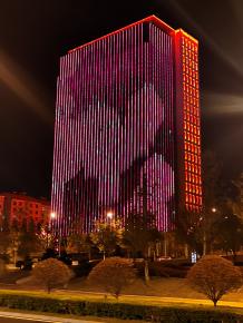 威海綠軸(zhou)中央(yang)商務區亮(liang)化(hua)工程